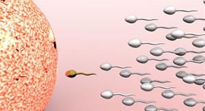 精子有鐵頭功且固定　可增成功受孕率