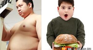 兒童肥胖不是福　逾3成易有脂肪肝