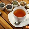 喝茶減肥可以嗎？普洱茶、紅茶、綠茶怎麼選？專家這樣說