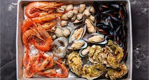 膽固醇太高，不吃海鮮就對了嗎？飽和脂肪酸的攝取更應被注意！