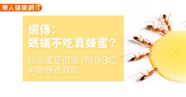 網傳：螞蟻不吃真蜂蜜？結晶蜜是假蜜？簡單3招判斷蜂蜜真假