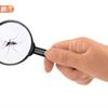 台灣病媒蚊發現新興疾病「坦布蘇病毒」，會造成人體感染嗎？疾管署解答