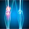 退化性關節炎與肌腱炎患者的治療新選擇 羊膜基質