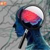 神經再生新突破！國衛院研究證實，幹細胞外泌體有助修復大腦受損神經細胞
