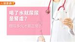 【影音版】喝了水就尿尿是腎虛？間隔多久才算正常？