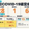 COVID-19／新增28例本土病例、6例死亡，死亡率4.8%