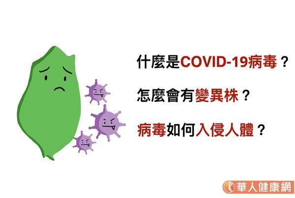 什麼是冠狀病毒？COVID-19命名怎麼來？（動畫影音／洪辰竺、配音字幕／宋美瑤）