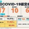 COVID-19／新增17例本土病例、6例死亡，死亡率4.9%