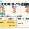 COVID-19／新增15例本土病例、4例死亡，死亡率4.9%