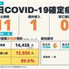 COVID-19／新增11例本土病例、1例境外移入，死亡率5%