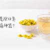 【影音版】菊花茶是除口臭、止喉嚨痛神器？菊花加桑葉是絕配！