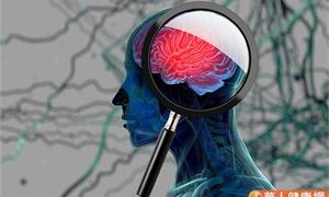 大腦易累積著毒素！改變飲食幫助腦排毒，擺脫失智症和慢性病
