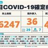 COVID-19／1歲男童死亡年紀最小！今40例死亡，新增66247例本土，及36例境外移入