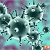 感染Omicron會有超強免疫力？專家研究：新冠疫苗才是廣效保護力的來源