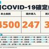 COVID-19／本土再破4萬！新增44500例本土、33例死亡，及247例境外移入