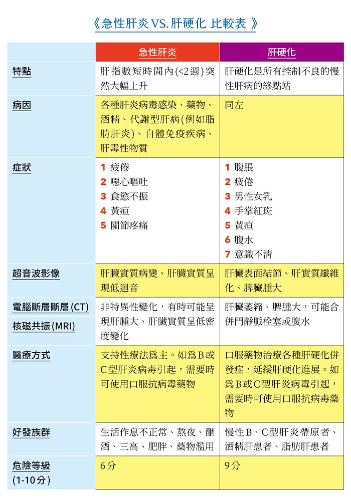 (表格提供/趨勢文化)