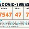 COVID-19／新增74例死亡、27547例本土，及47例境外移入