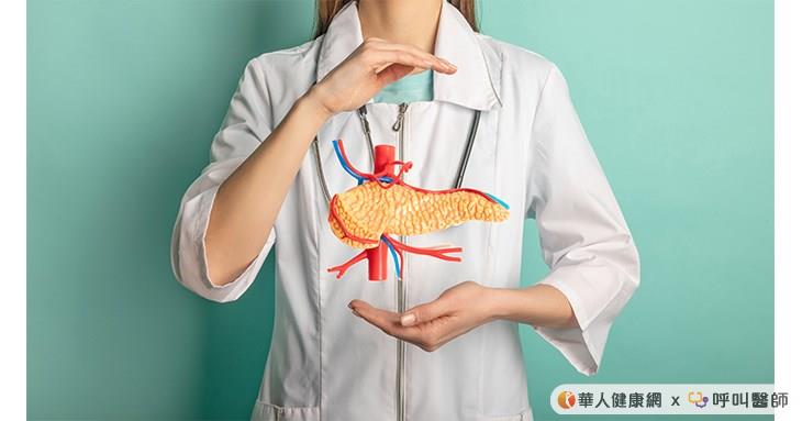 胰臟的外觀有如一彎長條狀的量尺，可區分為胰頭、胰體、胰尾三大部份。