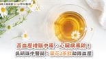 高血壓增腦中風、心臟病風險！吳明珠中醫師：菊花3茶飲助降血壓