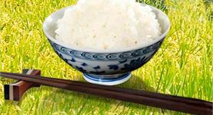 吃出健康米　選米煮飯非知不可