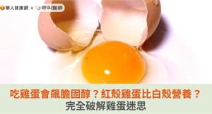 吃雞蛋會飆膽固醇？紅殼雞蛋比白殼營養？完全破解雞蛋迷思