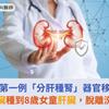 亞洲第一例「分肝種腎」器官移植！成人腎臟種到8歲女童肝臟，脫離洗腎人生