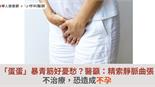 「蛋蛋」暴青筋好憂愁？醫籲：精索靜脈曲張不治療，恐造成不孕