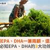 吃海藻補EPA、DHA一兼兩顧，還能補碘！必知EPA、DHA的3大功效