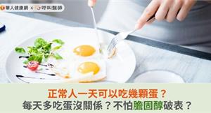 正常人一天可以吃幾顆蛋？每天多吃蛋沒關係？不怕膽固醇破表？