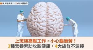 上班族高壓工作，小心腦過勞！3種營養素助攻腦健康，4大族群不漏接