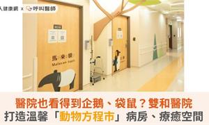 醫院也看得到企鵝、袋鼠？雙和醫院打造溫馨「動物方程市」病房、療癒空間