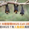 又是蝙蝠！大陸發現HKU5-CoV-2冠狀病毒！什麼是HKU5？有人畜感染風險嗎？