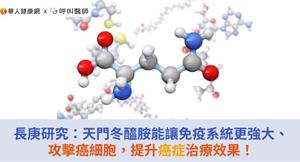 長庚研究：天門冬醯胺能讓免疫系統更強大、攻擊癌細胞，提升癌症治療效果！