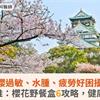 賞櫻過敏、水腫、疲勞好困擾！營養師推：櫻花野餐盒6攻略，健康無負擔