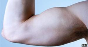 研究：男性肌力弱　壽命較短