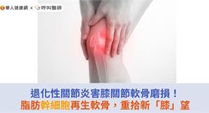 退化性關節炎害膝關節軟骨磨損！脂肪幹細胞再生軟骨，重拾新「膝」望