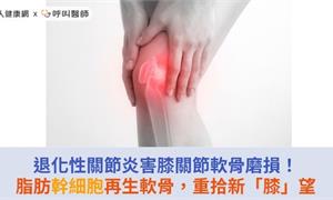退化性關節炎害膝關節軟骨磨損！脂肪幹細胞再生軟骨，重拾新「膝」望