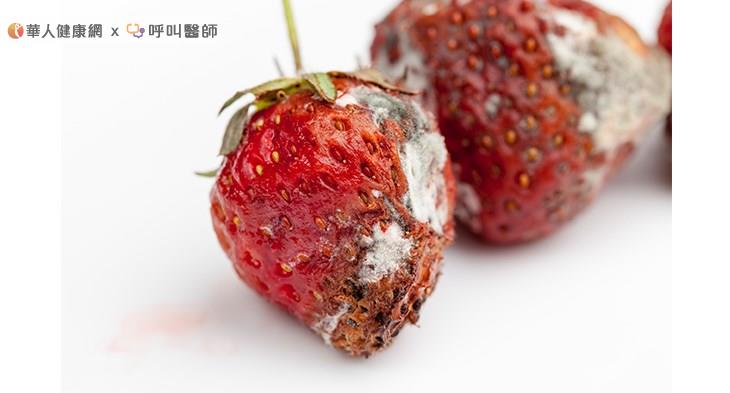 在食物的種植、運輸與保存過程中,只要環境潮濕、高溫,或保存方式不當,就有可能受到黴菌毒素汙染。