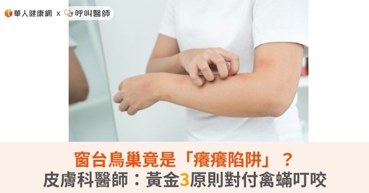 窗台鳥巢竟是「癢癢陷阱」?皮膚科醫師:黃金3原則對付禽蟎叮咬