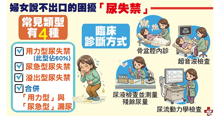 尿失禁常見4種類型(圖片提供/振興醫院)