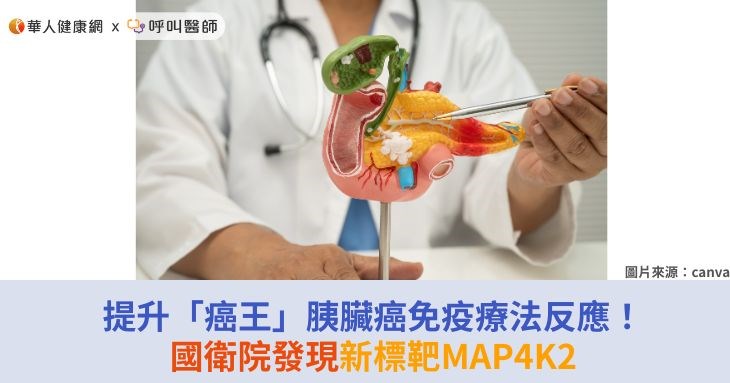 提升「癌王」胰臟癌免疫療法反應!國衛院發現新標靶MAP4K2