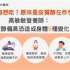 假圖