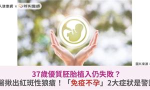 37歲優質胚胎植入仍失敗?醫揪出紅斑性狼瘡!「免疫不孕」2大症狀是警訊