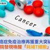 假圖