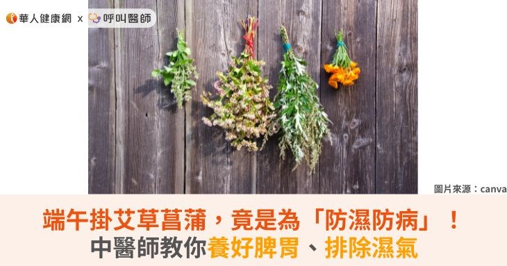 (圖僅為示意)