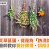 端午掛艾草菖蒲，竟是為「防濕防病」！中醫師教你養好脾胃、排除濕氣