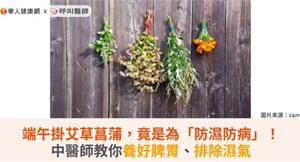 端午掛艾草菖蒲，竟是為「防濕防病」！中醫師教你養好脾胃、排除濕氣
