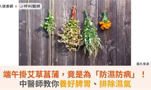 端午掛艾草菖蒲,竟是為「防濕防病」!中醫師教你養好脾胃、排除濕氣