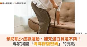 預防肌少症靠運動、補充蛋白質還不夠！專家揭開「海洋修復密碼」的亮點