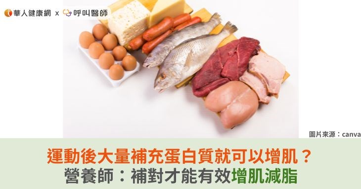 運動後大量補充蛋白質就可以增肌?營養師:補對才能有效增肌減脂